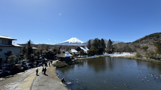 IMG 0459