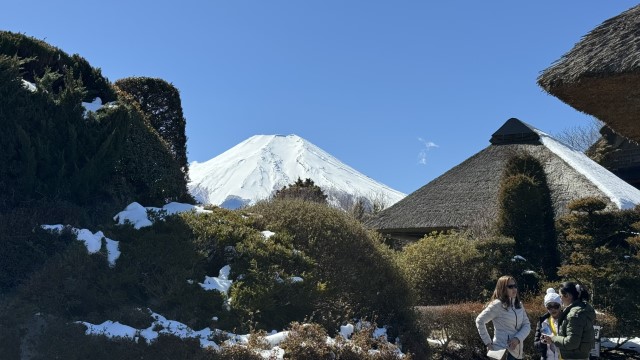 IMG 0469