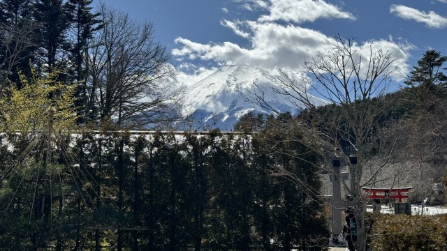 IMG 0484