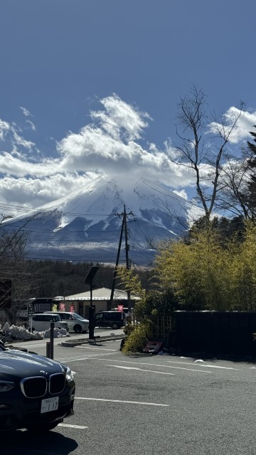 IMG 0487