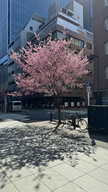 IMG 0681
