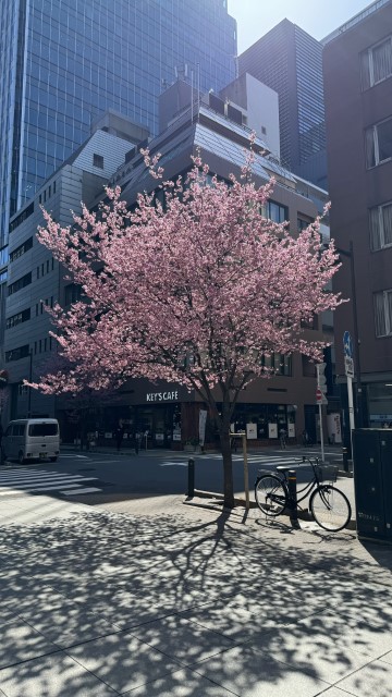 IMG 0683