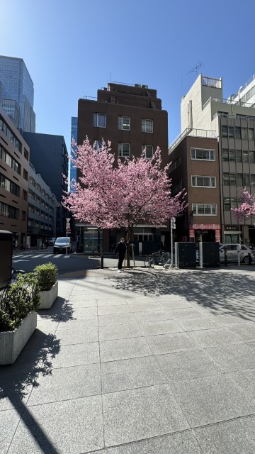 IMG 0693