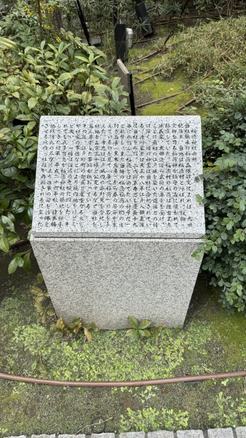 IMG 0733