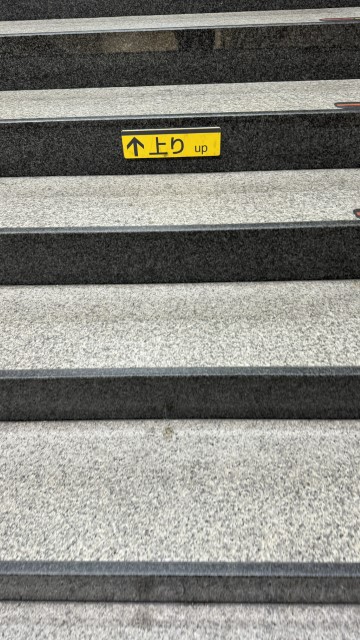 IMG 9562