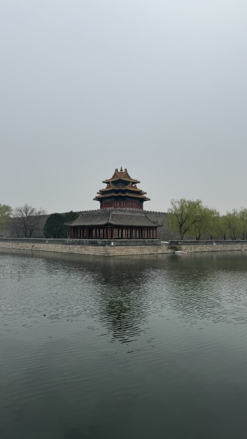 IMG 4323