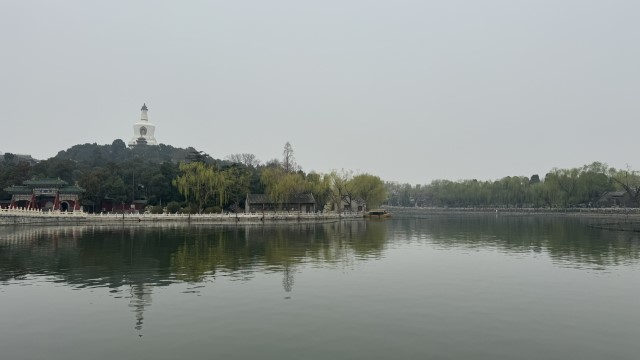IMG 4331