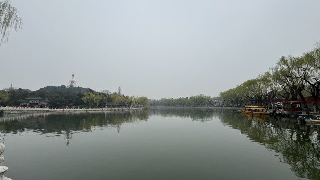IMG 4333