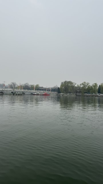 IMG 4338