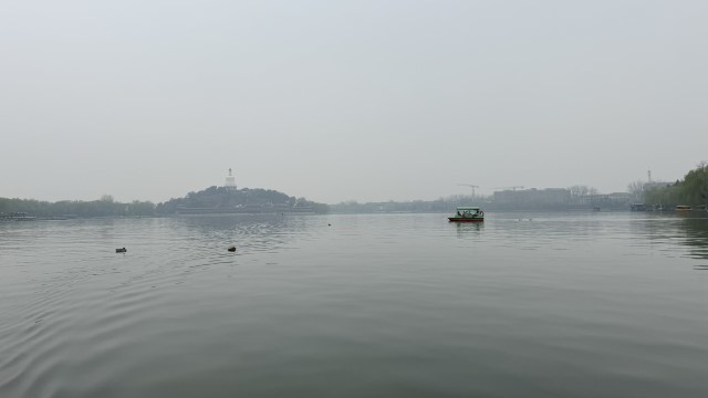 IMG 4394