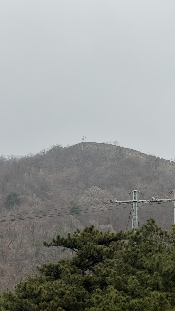 IMG 3445