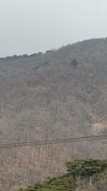IMG 3446