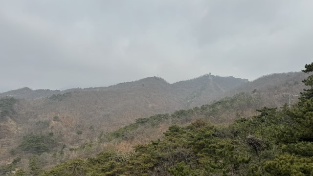 IMG 3448