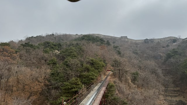 IMG 3455