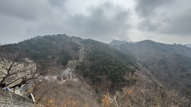 IMG 3473