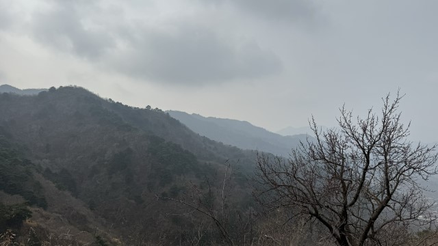 IMG 3474