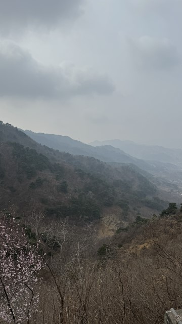 IMG 3498