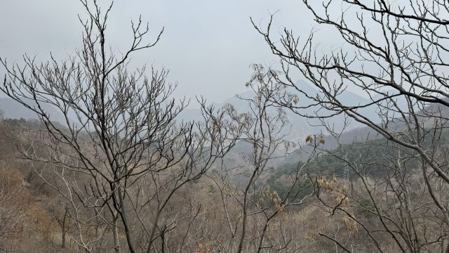 IMG 3503