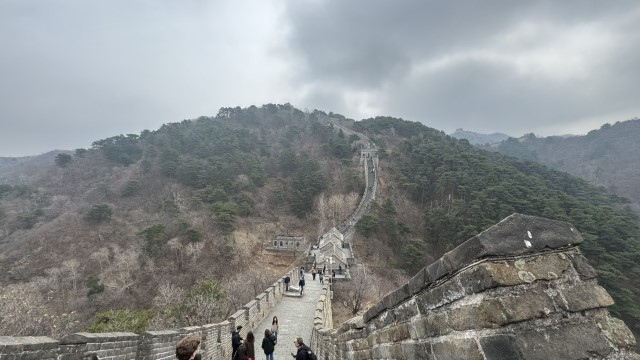 IMG 3518