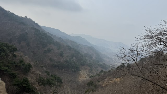 IMG 3525