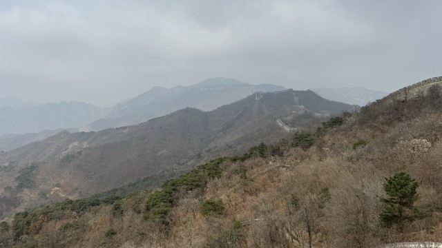 IMG 3644