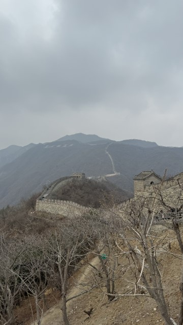 IMG 3679