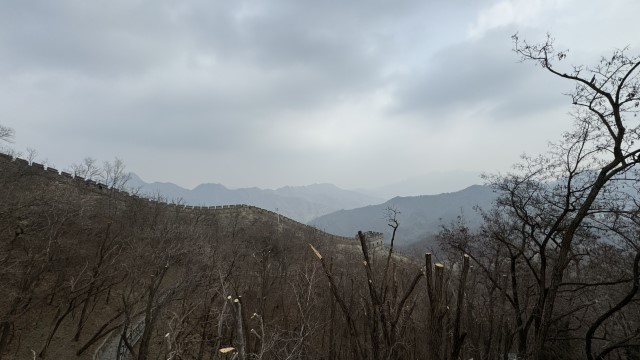 IMG 3683