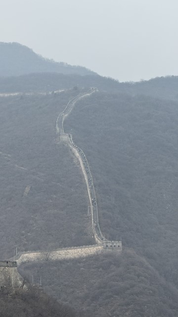 IMG 3694