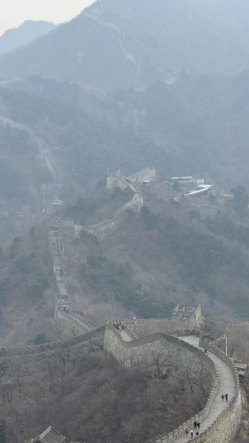 IMG 3729