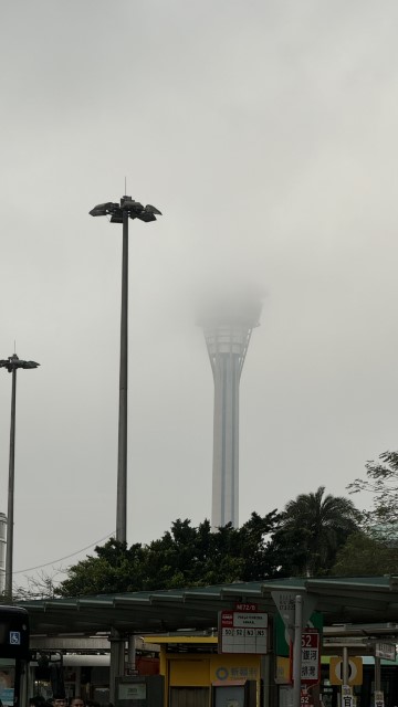 IMG 3382