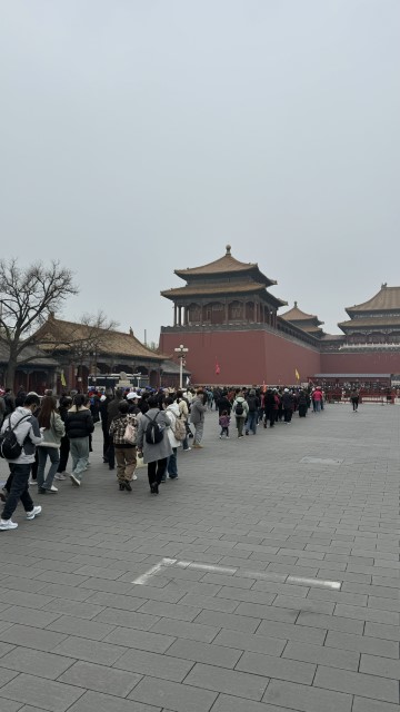 IMG 3906