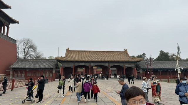 IMG 3910