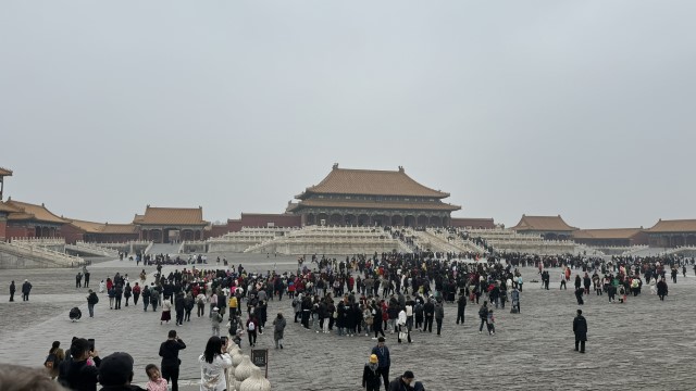 IMG 3974