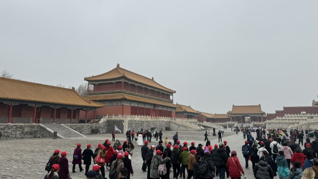 IMG 3982