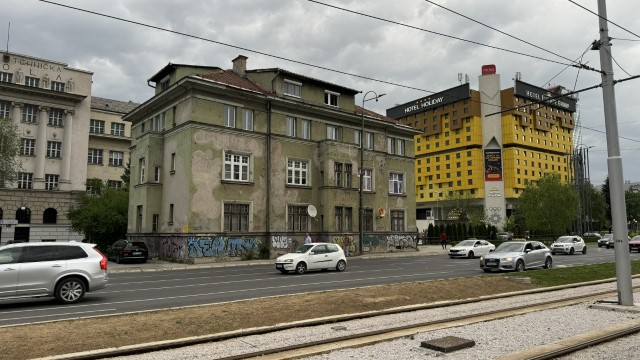 IMG 5498