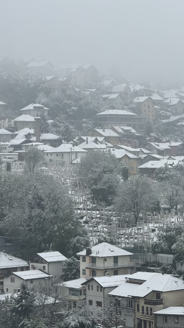 IMG 5543