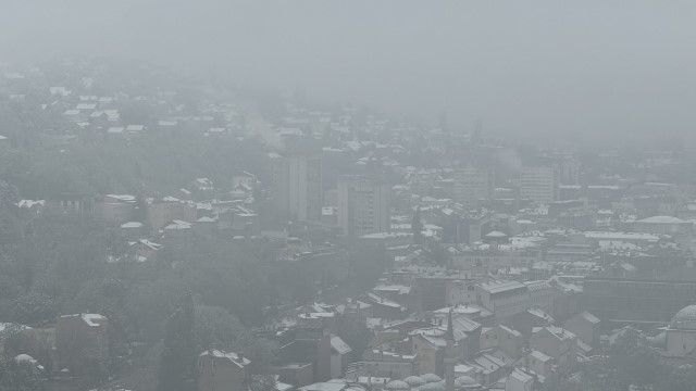 IMG 5553