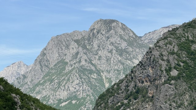 IMG 4814