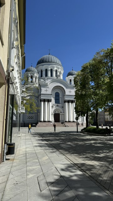 IMG 7685