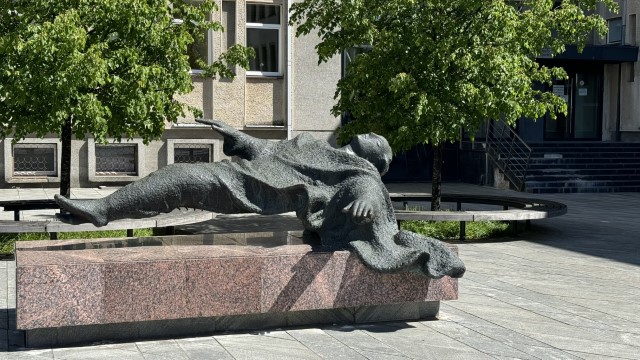 IMG 7695