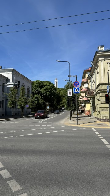 IMG 7704