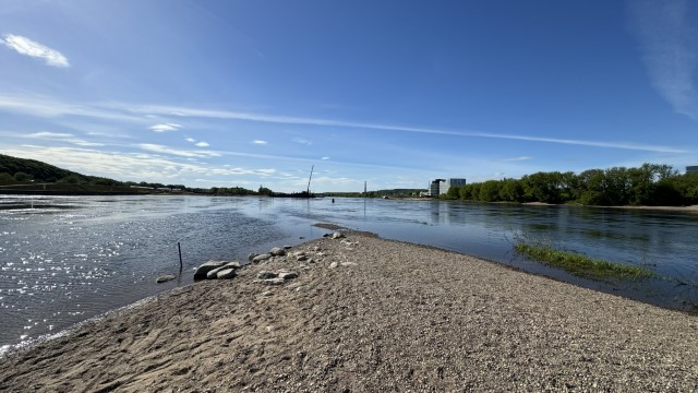 IMG 7794