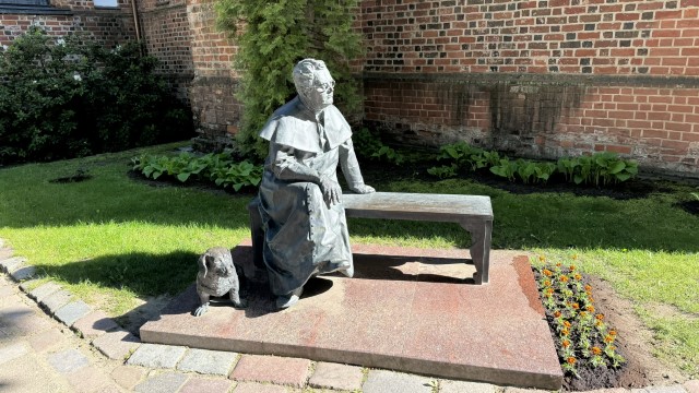 IMG 7800