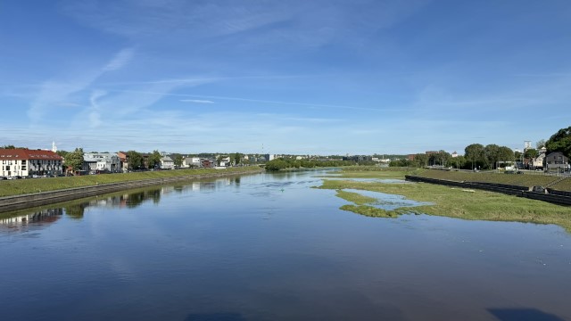 IMG 7822