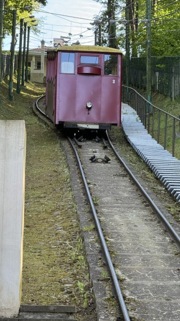 IMG 7830