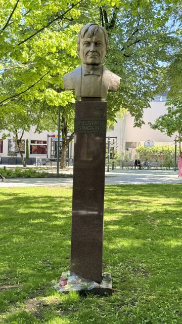 IMG 7956