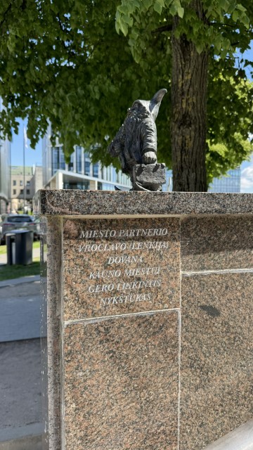 IMG 7997