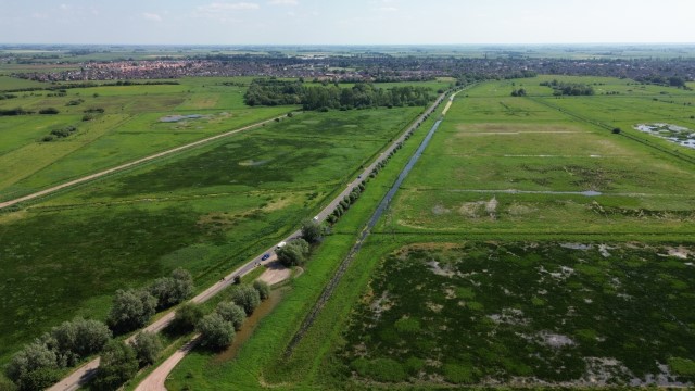 DJI 0050
