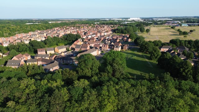 DJI 0061