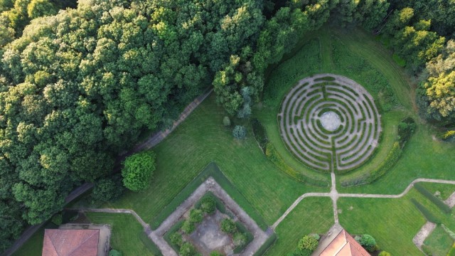 DJI 0101